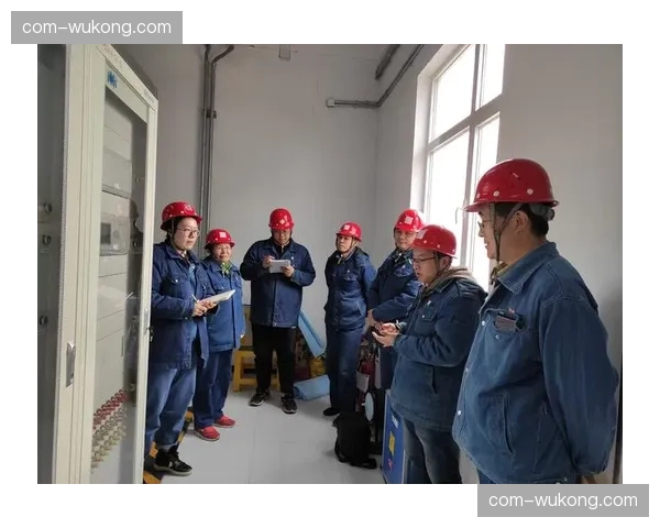 红牛福特动力单元运行稳定 自主研发项目通过初步检验